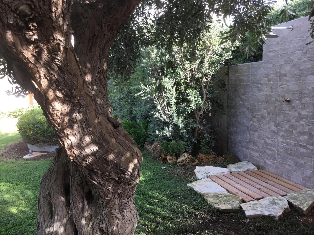 Birgi Holiday Home Marsala Exteriör bild